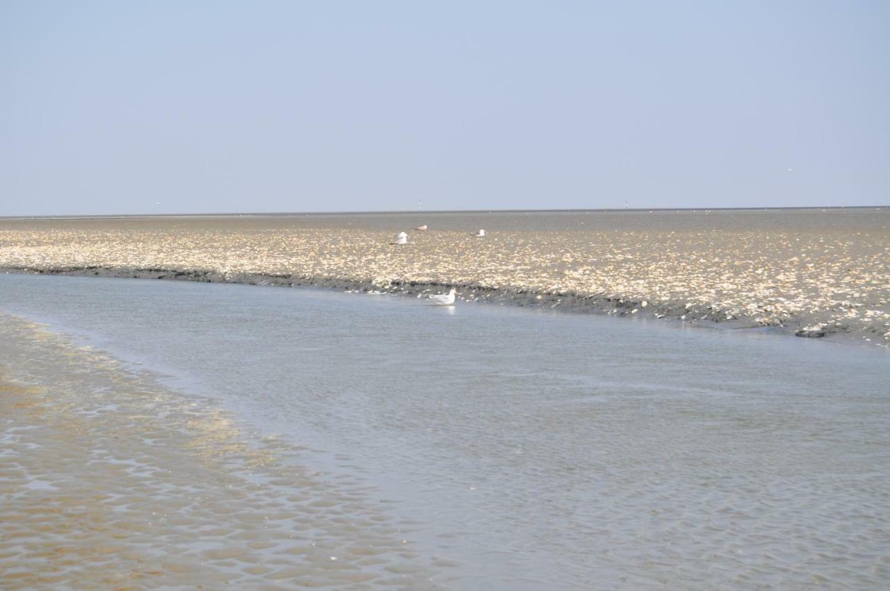 Ferienhaus Exner Hinter Dem Deich Cuxhaven Dış mekan fotoğraf