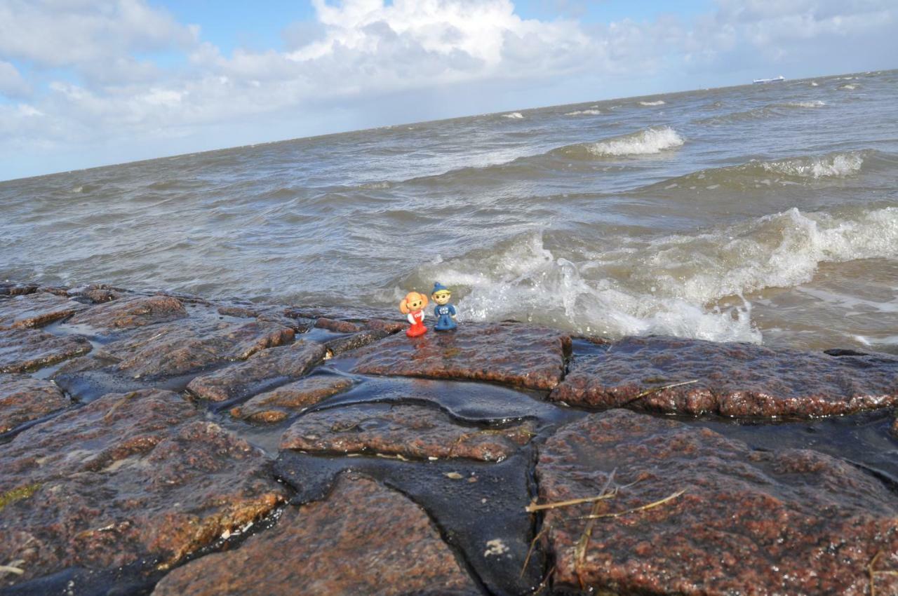 Ferienhaus Exner Hinter Dem Deich Cuxhaven Dış mekan fotoğraf